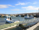 cape jack wharf