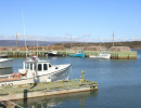 cape jack wharf